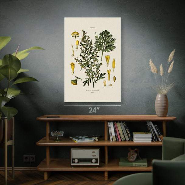 Absinthium Botanical Art Print Absinthium Botanical Art Print