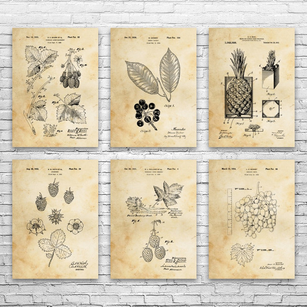 Fruit Patent Wall Art Set of 6