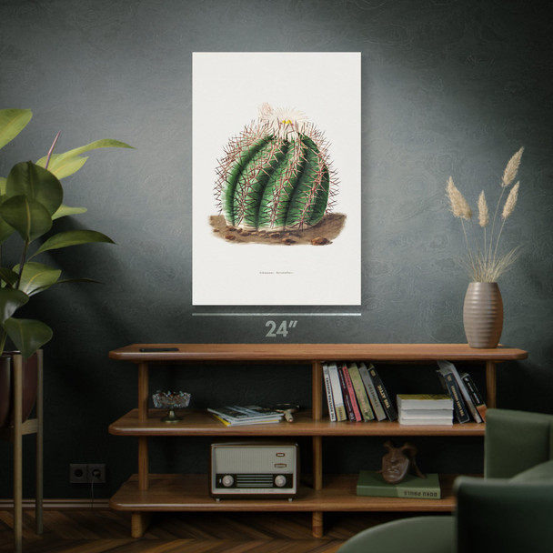 Turks Head Cactus Botanical Art Print