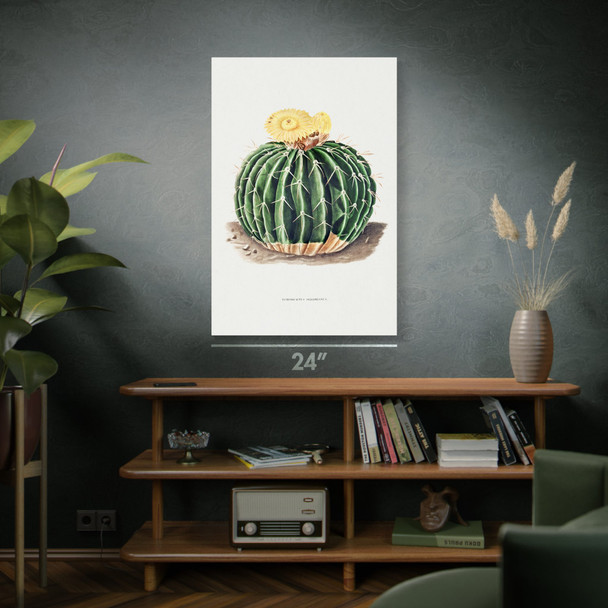 Parodia Cactus Botanical Art Print