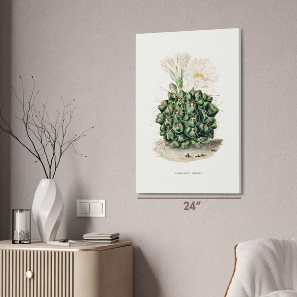 Black Chin Cactus Botanical Art Print