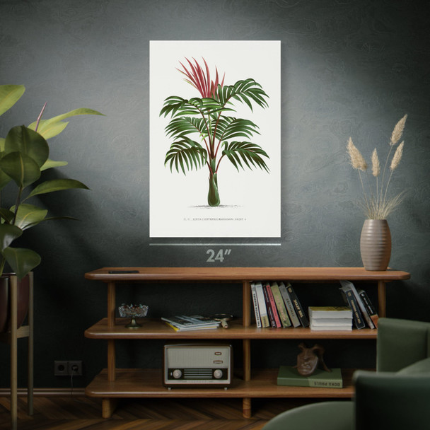 Kentia Palm Tree Botanical Art Print