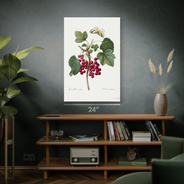 Red Currant & Butterfly Botanical Art Print