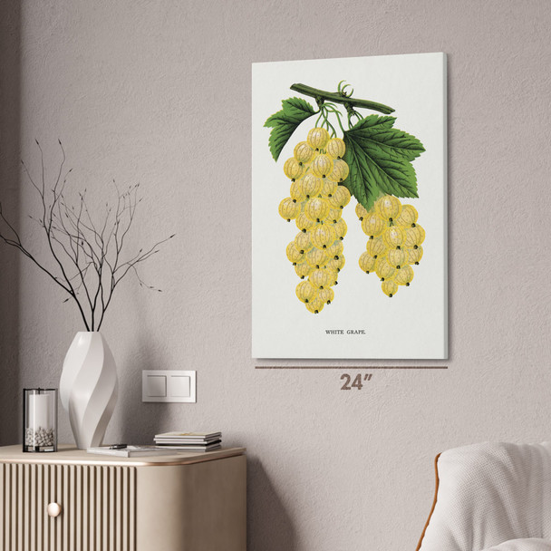 White Grape Botanical Art Print