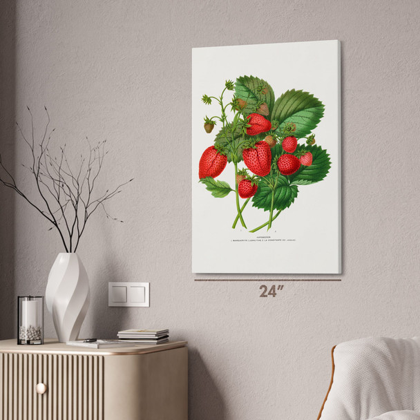 Strawberry Botanical Art Print