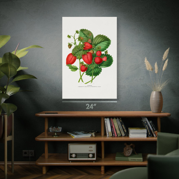 Strawberry Botanical Art Print