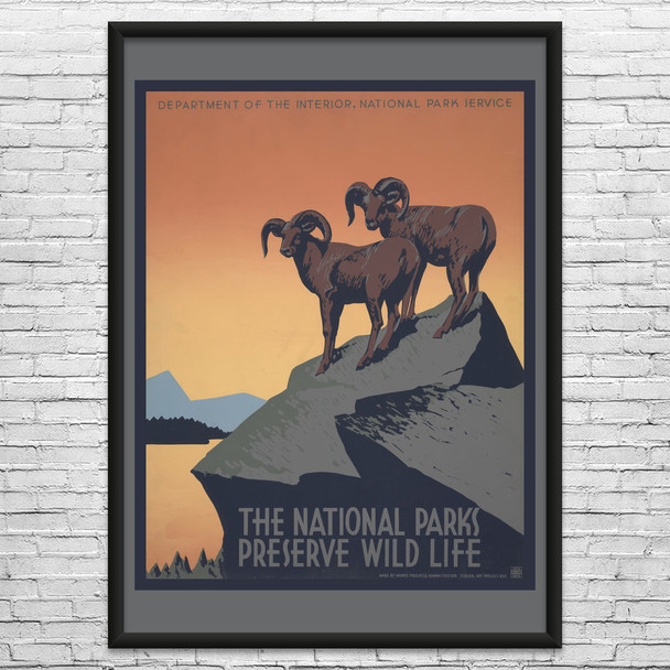 National Parks Wild Life WPA Poster Art