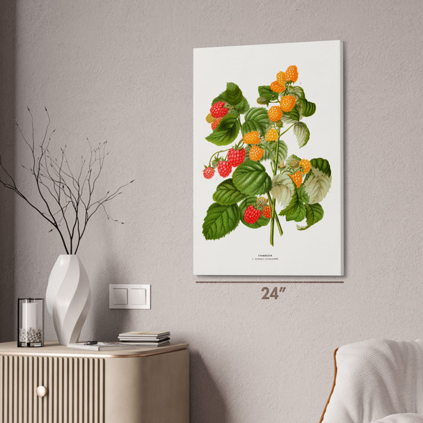 Ripening Raspberry Botanical Art Print Ripening Raspberry Botanical Art Print