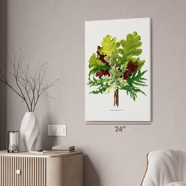 Oak Leaves Botanical Art Print Oak Leaves Botanical Art Print