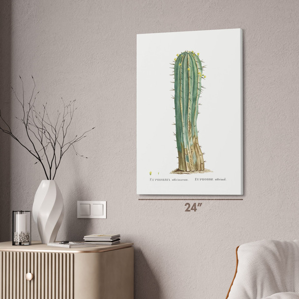 Euphorbia Officinarum Cactus Botanical Art Print