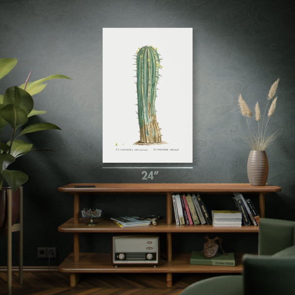 Euphorbia Officinarum Cactus Botanical Art Print