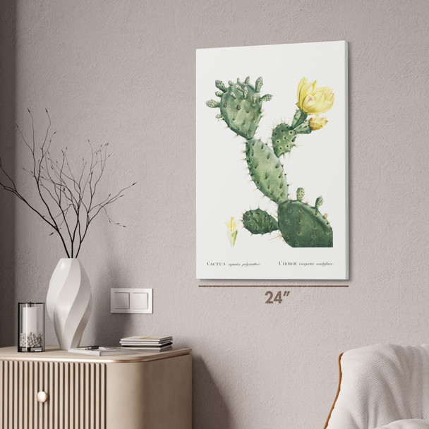 Prickly Pear Cactus Botanical Art Print Prickly Pear Cactus Botanical Art Print