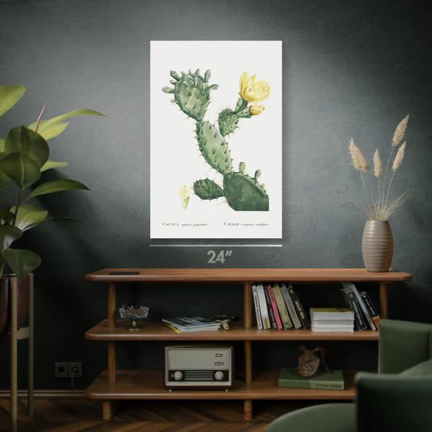 Prickly Pear Cactus Botanical Art Print Prickly Pear Cactus Botanical Art Print