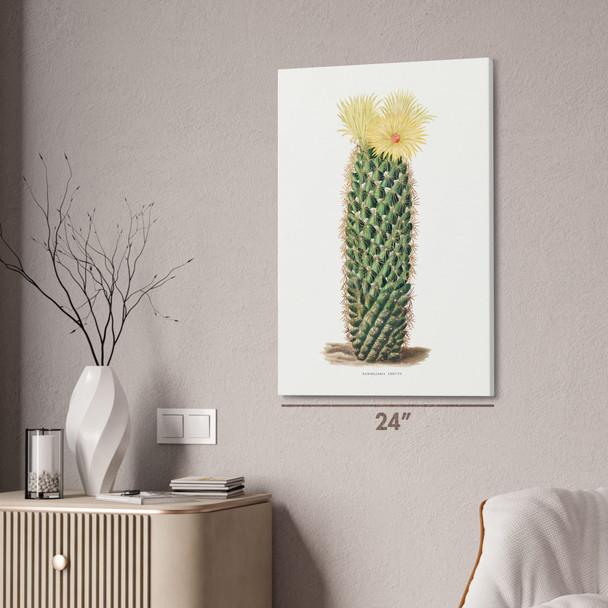 Hedgehog Cactus Botanical Art Print Hedgehog Cactus Botanical Art Print
