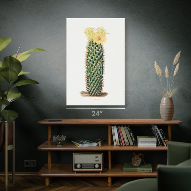 Hedgehog Cactus Botanical Art Print Hedgehog Cactus Botanical Art Print