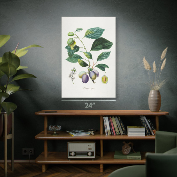 Prune Branch Botanical Art Print Prune Branch Botanical Art Print