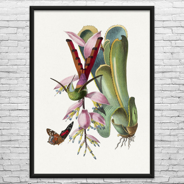 Hummingbird & Butterfly Botanical Art Print Hummingbird & Butterfly Botanical Art Print