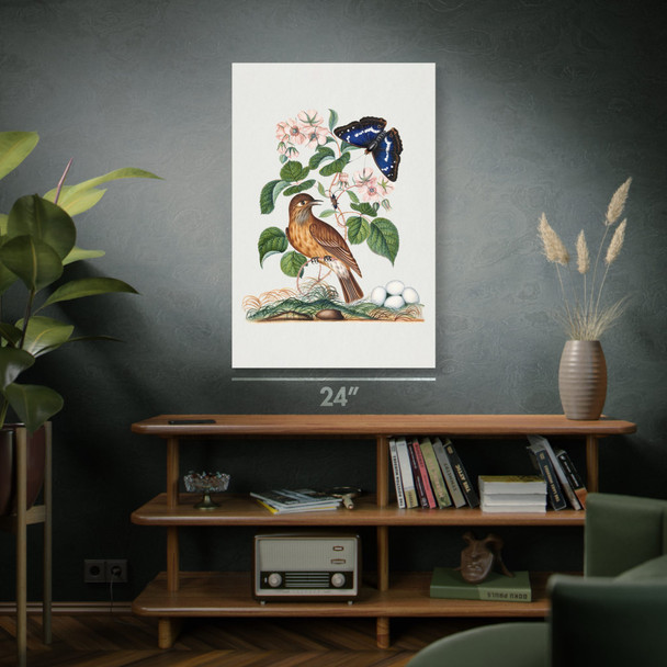Flycatcher & Butterfly Botanical Art Print Flycatcher & Butterfly Botanical Art Print