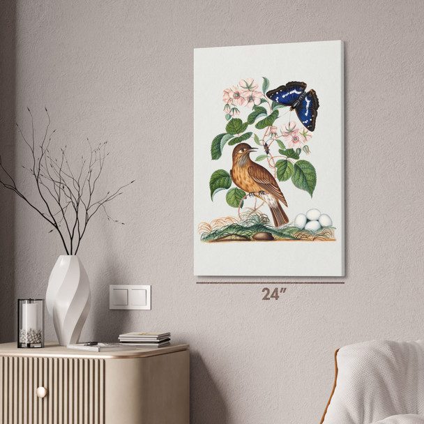 Flycatcher & Butterfly Botanical Art Print