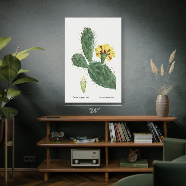 Opuntia Cactus Botanical Art Print