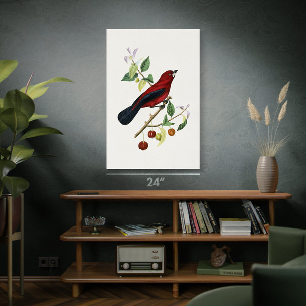 Ramphocelus Bird Botanical Art Print Ramphocelus Bird Botanical Art Print
