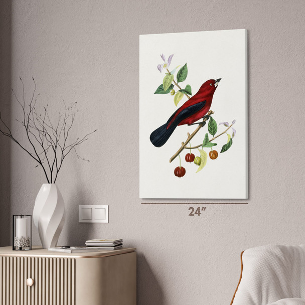 Ramphocelus Bird Botanical Art Print