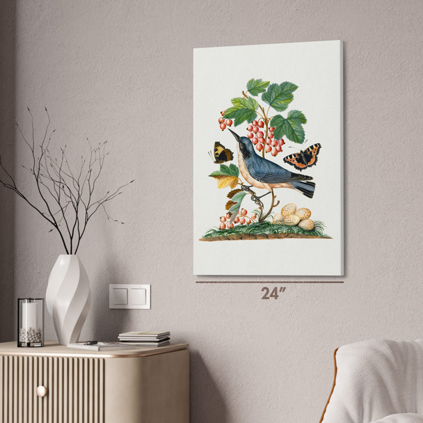 Warbler & Butterflies Botanical Art Print Warbler & Butterflies Botanical Art Print