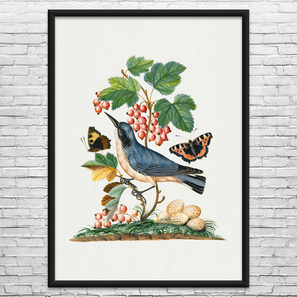 Warbler & Butterflies Botanical Art Print