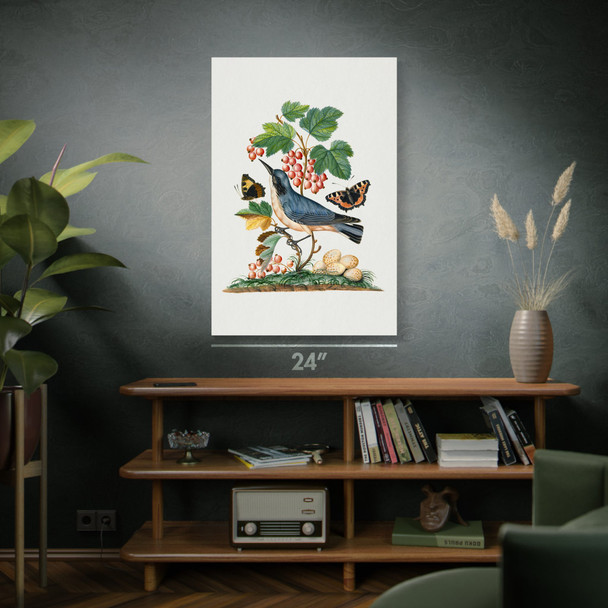 Warbler & Butterflies Botanical Art Print