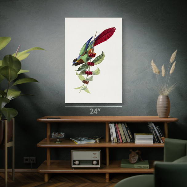 Parakeet & Fruit Botanical Art Print
