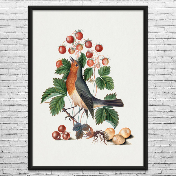 Robin & Wild Strawberry Botanical Art Print Robin & Wild Strawberry Botanical Art Print