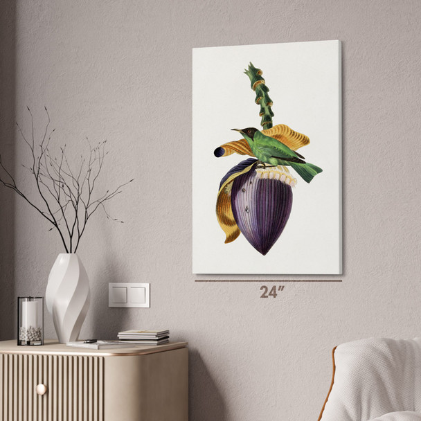 Treecreeper Bird Botanical Art Print Treecreeper Bird Botanical Art Print