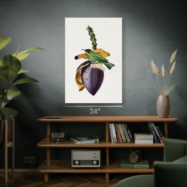 Treecreeper Bird Botanical Art Print