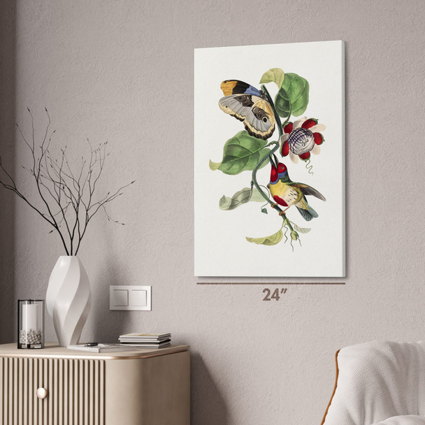 Barbet Bird & Butterfly Botanical Art Print