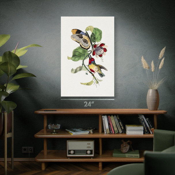 Barbet Bird & Butterfly Botanical Art Print