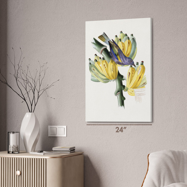 Bird on Bananas Botanical Art Print