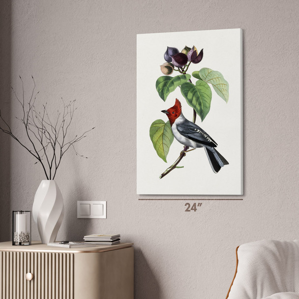Fringilla Bird on Branch Botanical Art Print