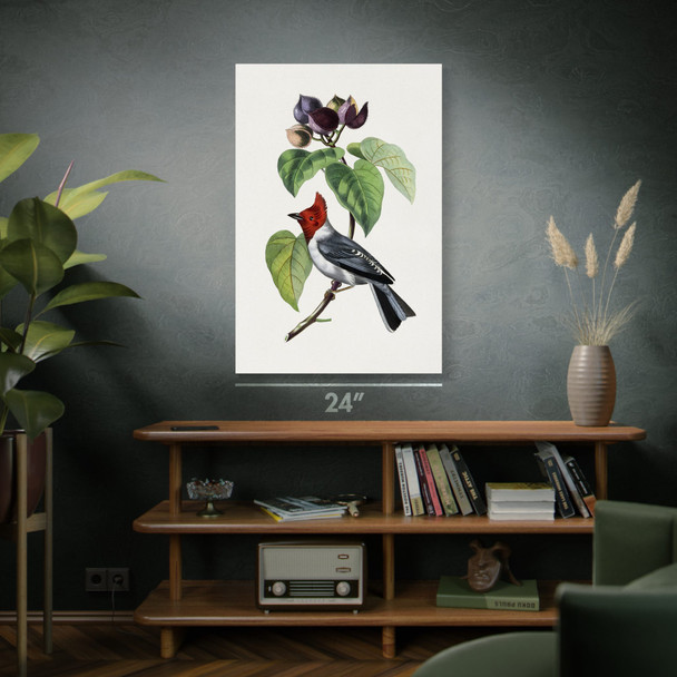 Fringilla Bird on Branch Botanical Art Print