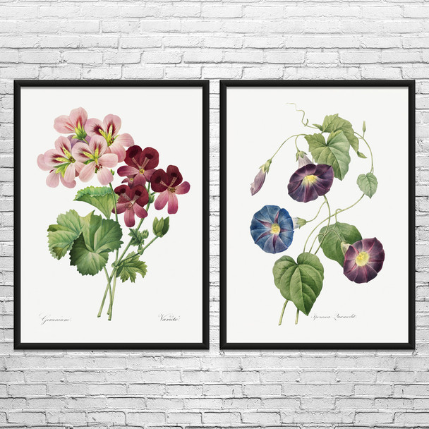 Flowers Botanical Art Prints Set of 2
