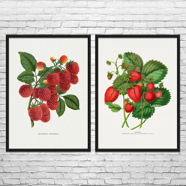 Fruit Botanical Art Prints Set of 2