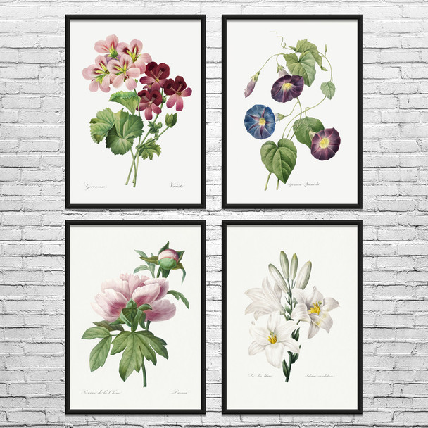Flowers Botanical Art Prints Set of 4