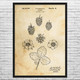 Strawberry Fruit Patent Wall Art