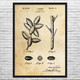 Pecan Tree Patent Wall Art