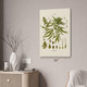 Cannabis Botanical Art Print Cannabis Botanical Art Print