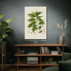 Coffee Botanical Art Print