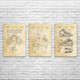 Climbing Patent Wall Art Set of 3