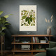 Hops Botanical Art Print