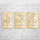 Psychedelic Molecule Wall Art Set of 3