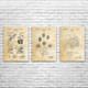 Fruit Patent Wall Art Set of 3 Fruit Patent Wall Art Set of 3