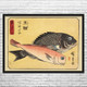 Gilthead & Tilefish Ukiyo-e Wall Art